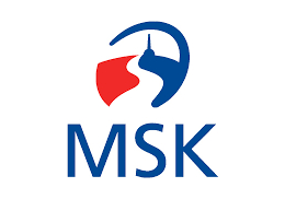 Realizace projektu <br/>podporovaného Moravskoslezským krajem